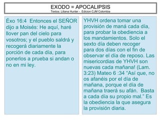 EXODO = APOCALIPSIS
Textos: Liliana Hunter - Edicion CJM Colombia
Éxo 16:4 Entonces el SEÑOR
dijo a Moisés: He aquí, haré
llover pan del cielo para
vosotros; y el pueblo saldrá y
recogerá diariamente la
porción de cada día, para
ponerlos a prueba si andan o
no en mi ley.
YHVH ordena tomar una
provisión de maná cada día,
para probar la obediencia a
los mandamientos. Solo el
sexto día deben recoger
para dos días con el fin de
observar el día de reposo. Las
misericordias de YHVH son
nuevas cada mañana! (Lam.
3:23) Mateo 6 :34 “Así que, no
os afanéis por el día de
mañana, porque el día de
mañana traerá su afán. Basta
a cada día su propio mal.” Es
la obediencia la que asegura
la provisión diaria.
 