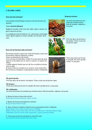 Com són els mol·luscs?
3. ELS MOL·LUSCS
Les principals característiques comunes a tots els mol·luscs són
aquestes:
Tenen simetria bilateral.
El peu és musculós i el fan servir per nedar, reptar o excavar, se-
gons el tipus de mol·lusc.
La conquilla pot estar formada per una o dues peces, anomenades
valves. algunes especies no tenen conquilla, com els pops i els lli-
macs
Com són les funcions dels mol·luscs?
Els mol·luscs aquàtics respiren per mitjà de brànquies, mentre que
els terrestres respiren mitjançant un pulmó
Tenen una alimentació molt variada.
Hi ha mol·luscs hermafrodites i també n'hi ha que tenen els sexes
separats. La fecundació pot ser interna o externa, i la majoria són
ovípars.
n moltes espècies l'embrió que surt de l'ou es transforma directa-
ment en adult
En altres l’embrió es transforma en una larva i té la metamorfosi.
Els mol·luscs es classifiquen en gastròpodes, bivalves i cefalòpodes.
Els gasteròpodes
Hi ha dos tipus: els terrestres i els aquàtics. Tenen un peu que els permet reptar.
Els bivalves
Tenen dues valves que formen la conquilla. No tenen cap diferenciat i un peu petit.
Els cefalòpodes
Les seves extremitats són tentacles que envolten la boca. Amb els tentacles subjecten a les preses.
Grups de mol·luscs
6. Quines funcions té el peu del mol·lusc?
El peu dels mol·luscs serveix per reptar, excavar,.
7. Quines són les parts principals d’un mol·lusc?
El cap, la massa visceral i el peu.
8. Busca al Glossari el significat d’aquests termes: gasteròpode, bivalve i cefalòpode.
Gasteròpode: Tenen un peu mocós i tenen 4 tentacles
Bivalve: mol·lusc que té dues valves. No tenen cap diferenciat i s'alimenten filtrant l'aigua .
Cefalòpode: Tots són marins, tenen ulls grossos i un gran cap amb tentacles.
9. A quin grup de mol·luscs pertanyen les ostres? Per què?
Les ostres són bivalves perquè tenen dues valves.
Les seves extremitats són ten-
tacles que envolten la boca.
Amb els tentacles subjecten a
les preses.
Hi ha dos tipus: els terrestres i
els aquàtics. Tenen un peu que
els permet reptar.
Tenen dues valves que formen
la conquilla. No tenen cap dife-
renciat i un peu petit.
 