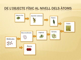 DE L’OBJECTE FÍSIC AL NIVELL DELS ÀTOMS
 