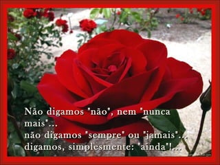 Não digamos "não", nem "nuncaNão digamos "não", nem "nunca
mais"...mais"...
não digamos "sempre" ou "jamais"...não digamos "sempre" ou "jamais"...
digamos, simplesmente: "ainda"!...digamos, simplesmente: "ainda"!...
 