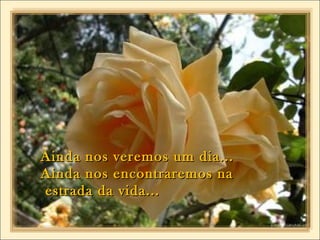 Ainda nos veremos um dia...Ainda nos veremos um dia...
Ainda nos encontraremos naAinda nos encontraremos na
estrada da vida...estrada da vida...
 