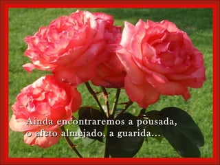 Ainda encontraremos a pousada,Ainda encontraremos a pousada,
o afeto almejado, a guarida...o afeto almejado, a guarida...
 