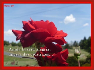 Ainda haverá alegria,Ainda haverá alegria,
apesar das cicatrizes...apesar das cicatrizes...
 