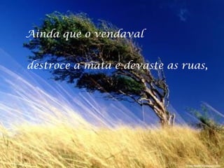 Ainda que o vendaval
destroce a mata e devaste as ruas,

 