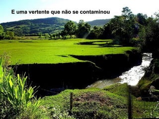 E uma vertente que não se contaminouE uma vertente que não se contaminou
 
