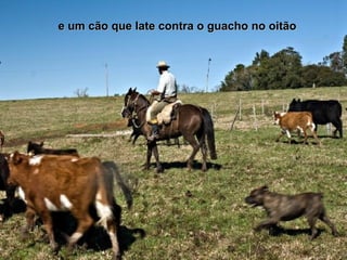 e um cão que late contra o guacho no oitãoe um cão que late contra o guacho no oitão
 
