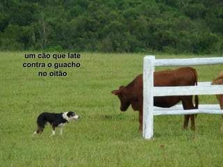 um cão que lateum cão que late
contra o guachocontra o guacho
no oitãono oitão
 