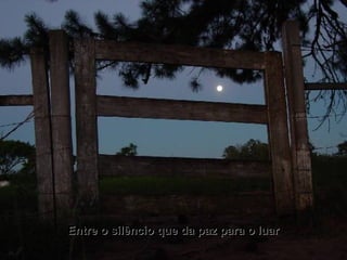 Entre o silêncio que da paz para o luarEntre o silêncio que da paz para o luar
 