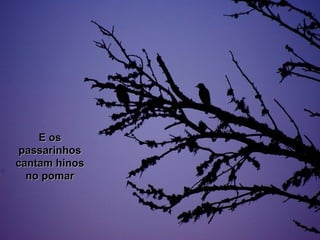E osE os
passarinhospassarinhos
cantam hinoscantam hinos
no pomarno pomar
 