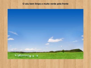 O céu bem limpo e muito verde pela frente
 