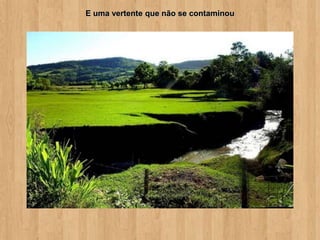 E uma vertente que não se contaminou
 