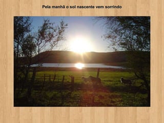 Pela manhã o sol nascente vem sorrindo
 