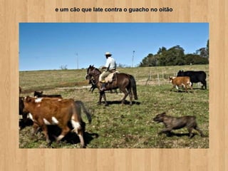 e um cão que late contra o guacho no oitão
 