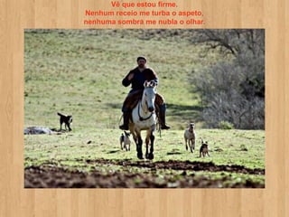 Vê que estou firme.
Nenhum receio me turba o aspeto,
nenhuma sombra me nubla o olhar.
 