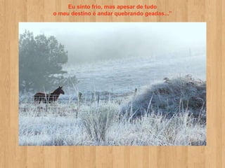 Eu sinto frio, mas apesar de tudo
o meu destino é andar quebrando geadas...”
 