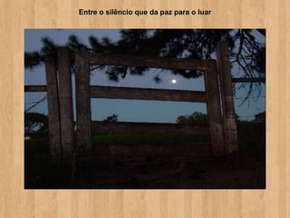 Entre o silêncio que da paz para o luar
 