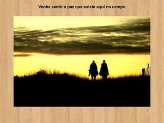 Venha sentir a paz que existe aqui no campo
 