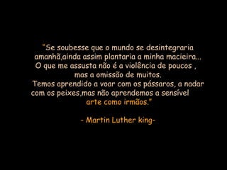 “ Se soubesse que o mundo se desintegraria amanhã,ainda assim plantaria a minha macieira... O que me assusta não é a violência de poucos ,  mas a omissão de muitos. Temos aprendido a voar com os pássaros, a nadar com os peixes,mas não aprendemos a sensível   arte como irmãos.” - Martin Luther king- 
