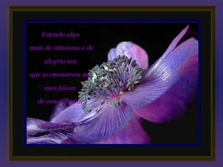 Estenda algo

mais de otimismo e de

    alegria aos

que se encontrem nas

    suas faixas

  de convivência;
 