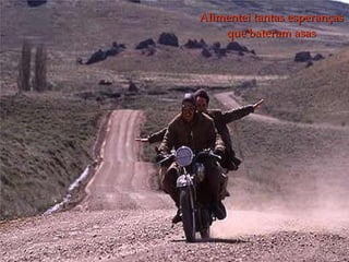 Alimentei tantas esperanças que bateram asas 