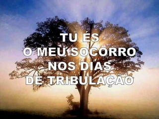 Ainda que a figueira  