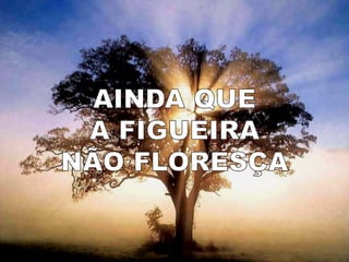 Ainda que a figueira  