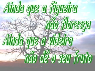 Ainda que a figueira (fernandinho)