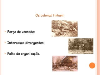 Os colonos tinham:
 Força de vontade;
 Interesses divergentes;
 Falta de organização.
 
