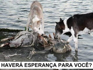 HAVERÁ ESPERANÇA PARA VOCÊ? 