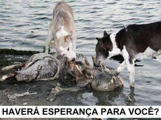 HAVERÁ ESPERANÇA PARA VOCÊ? 