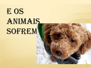 Emissões de CO2 por país (em 1998)