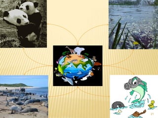 Temperatura média anual planetária e previsões para 2100 (optimista e pessimista)17