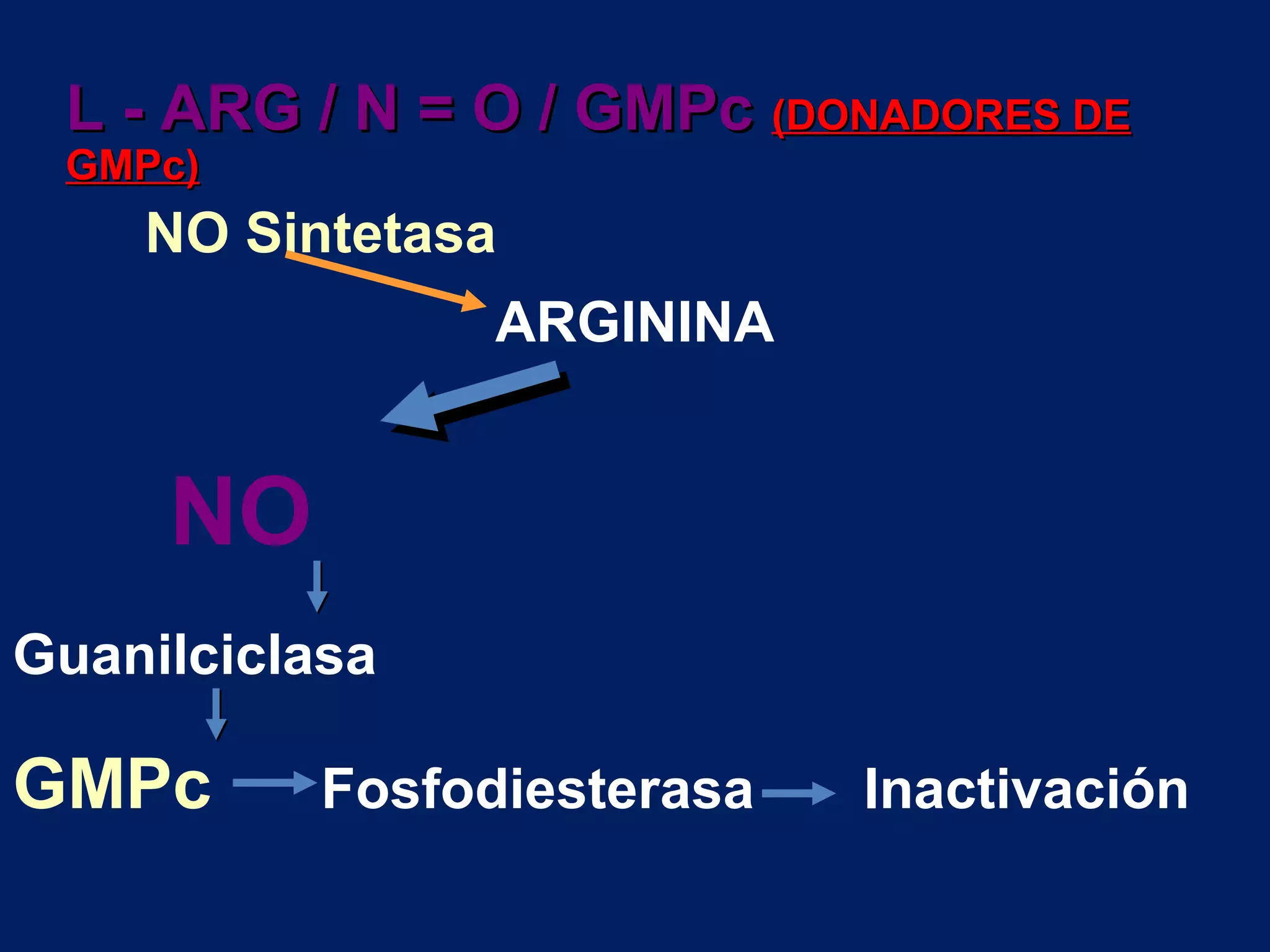 L - ARG / N = O / GMPc (DONADORES DE
 GMPc)
    NO Sintetasa
                 ARGININA


     NO
Guanilciclasa

GMPc       Fosfodiesterasa   Inactivación
 