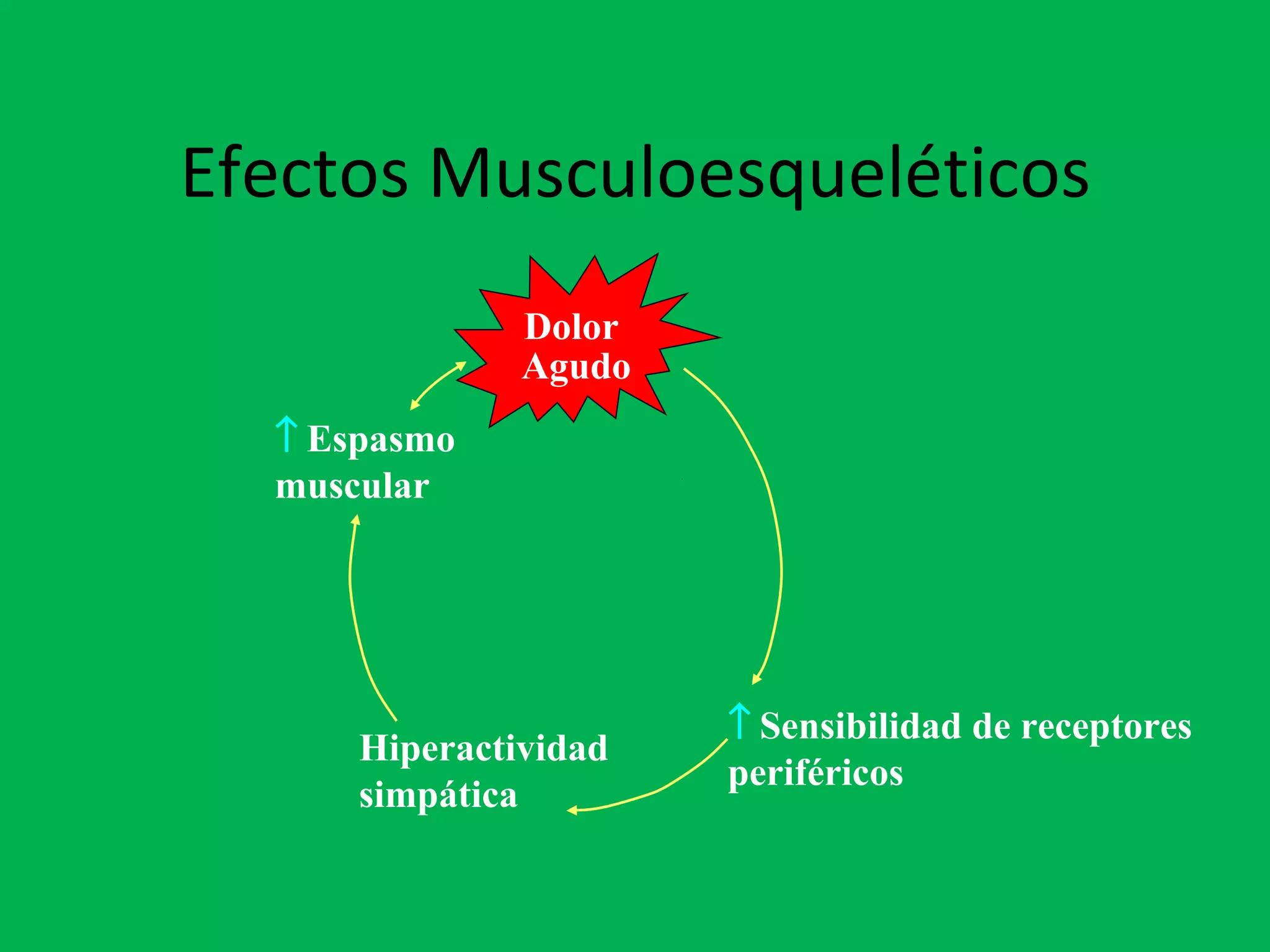 Efectos Musculoesqueléticos
               Dolor
               Agudo
  ↑ Espasmo
  muscular




                       ↑ Sensibilidad de receptores
      Hiperactividad
                       periféricos
      simpática
 