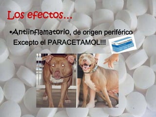 Los efectos…
•Antiinflamatorio, de origen periférico
Excepto el PARACETAMOL!!!
 
