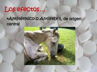 Los efectos…
•Antitérmico o Antifebril, de origen
central
 