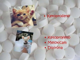 • Ketoprofeno
• Meloxicam
• Dipirona
• Ketoprofeno
 