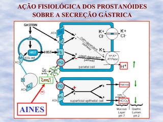 AAÇÇÃO FISIOLÃO FISIOLÓÓGICA DOS PROSTANGICA DOS PROSTANÓÓIDESIDES
SOBRE A SECRESOBRE A SECREÇÇÃO GÃO GÁÁSTRICASTRICA
AINES
M
COX1COX1
AINES
 