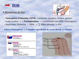 DORDOR
• Mecanismo da DorMecanismo da Dor:
-- NociceptoresNociceptores PolimodaisPolimodais (NPM)(NPM) → estímulos mecânico, térmico, químico
- Lesão tecidual → ↑ Prostaglandinas → sensibilização dos NPMNPM (hiperalgesia )
- Bradicinina, Histamina + NPMNPM → ∑ fibras aferentes → SNC
FibrasFibras NociceptivasNociceptivas →→ Camadas superficiais do corno dorsalCamadas superficiais do corno dorsal →→ TTáálamolamo
 