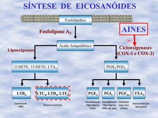 Ácido Araquidônico
12-HETE, 15-HETE, LTA4
LTB4 LTC4, LTD4, LTE4
Fosfolipase AFosfolipase A22
LipooxigenaseLipooxigenase CiclooxigenasesCiclooxigenases
(COX(COX--1 e COX1 e COX--2)2)
Quimiotaxia
PMN
Broncoconstrição
TXA2PGE2 PGI2
PGH2/PGG2
PGF2α
Vasodilatação
Hiperalgesia
Febre
Vasodilatação
Hiperalgesia
Inibe agr plaq
Contração
musc lisa
uterina
Vasoconstrição
Agreg plaq
AINES
SSÍÍNTESE DE EICOSANNTESE DE EICOSANÓÓIDESIDES
Fosfolipídios
 