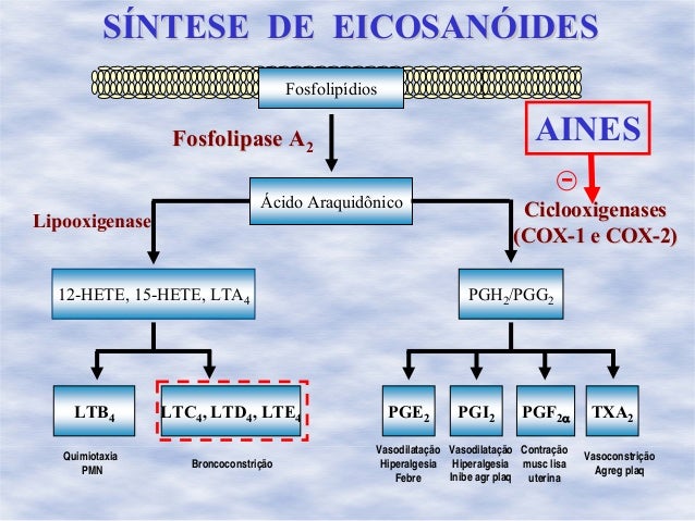 Aines