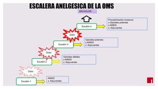 ESCALERA ANELGESICA DE LA OMS
Escalón 1
Dolor
AINES
± Adyuvantes
Escalón 2
Dolor
Opioides débiles
± AINES
± Adyuvantes
Escalón 3
Dolor
Opioides potentes
± AINES
± Adyuvantes
Escalón 4
Procedimientos invasivos
± Opioides potentes
± AINES
± Adyuvantes
SIN DOLOR
 