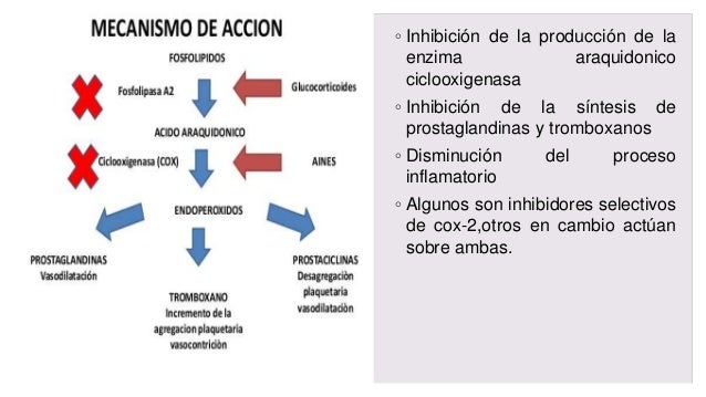 Aines. Aines.