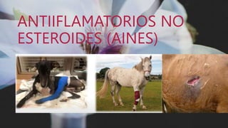 ANTIIFLAMATORIOS NO
ESTEROIDES (AINES)
 
