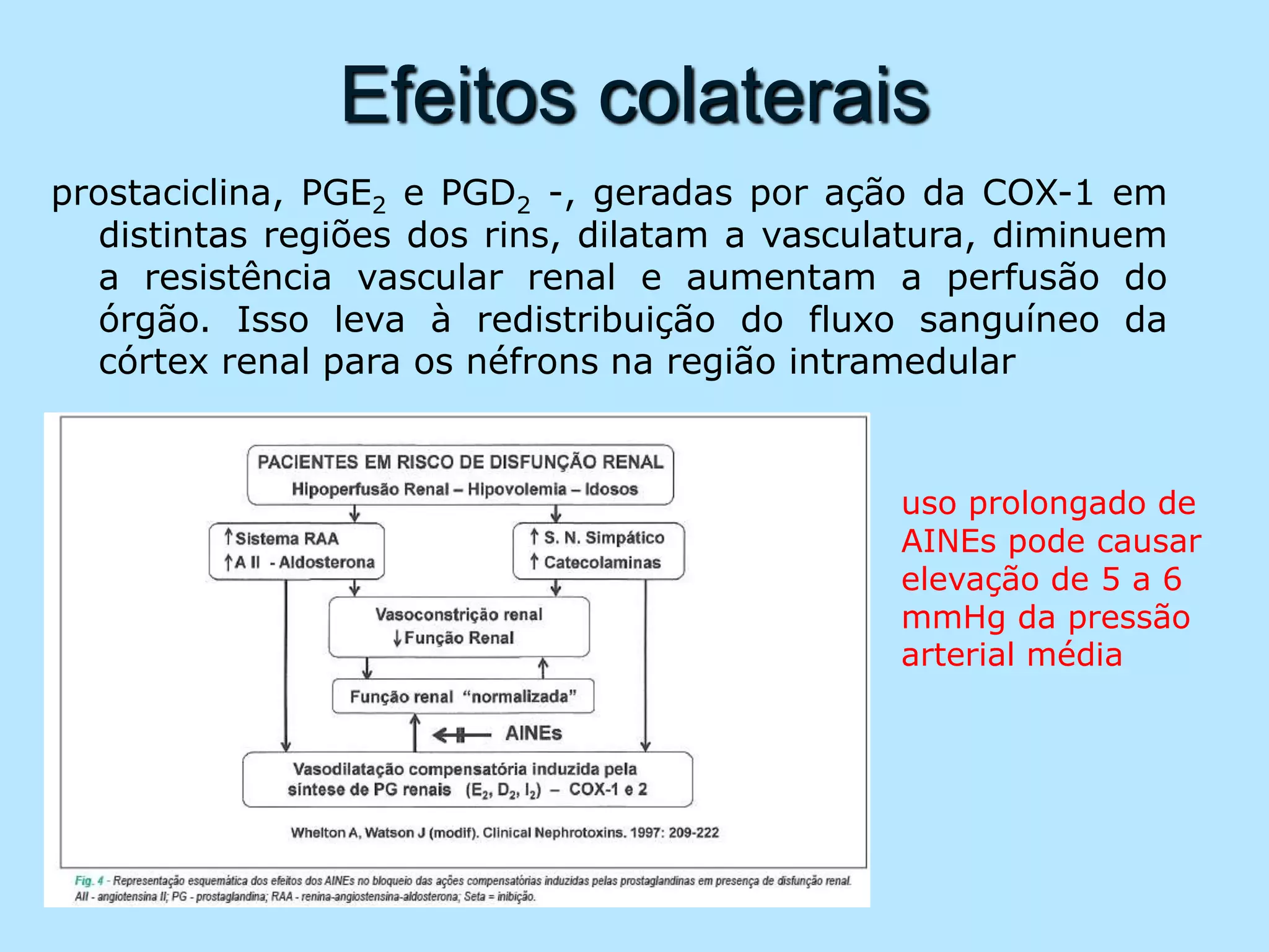 Efeitos colaterais
prostaciclina, PGE2 e PGD2 -, geradas por ação da COX-1 em
distintas regiões dos rins, dilatam a vasculatura, diminuem
a resistência vascular renal e aumentam a perfusão do
órgão. Isso leva à redistribuição do fluxo sanguíneo da
córtex renal para os néfrons na região intramedular
uso prolongado de
AINEs pode causar
elevação de 5 a 6
mmHg da pressão
arterial média
 