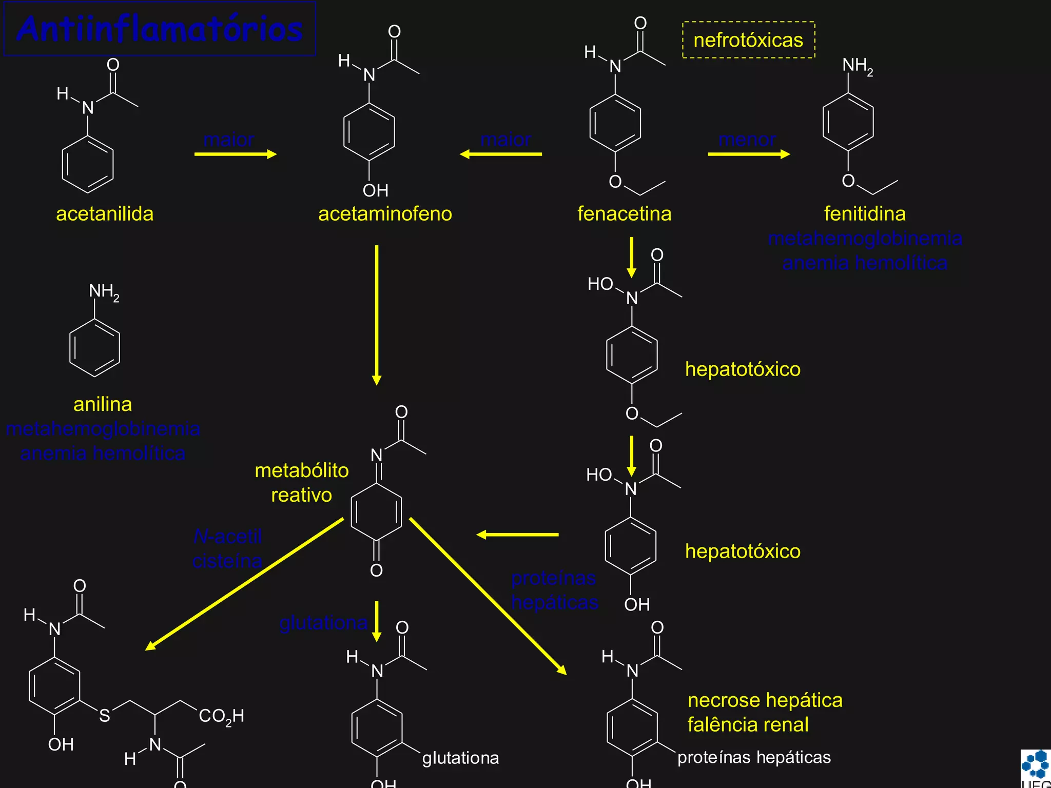 Antiinflamatórios
N
H
O
N
H
O
OH
N
H
O
O
NH2
O
NH2 N
O
H
O
O
N
O
H
O
OH
N
O
O
N
O
OH
H
S
N
H
CO2H
N
O
H
glutationa
N
O
H
proteínas hepáticas
acetanilida
anilina
metahemoglobinemia
anemia hemolítica
acetaminofeno fenacetina fenitidina
metahemoglobinemia
anemia hemolítica
maior maior menor
hepatotóxico
nefrotóxicas
hepatotóxico
necrose hepática
falência renal
metabólito
reativo
N-acetil
cisteína
glutationa
proteínas
hepáticas
 