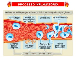 PROCESSO INFLAMATÓRIO
 