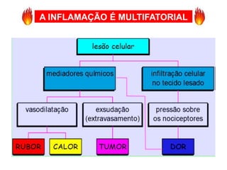 A INFLAMAÇÃO É MULTIFATORIAL
 