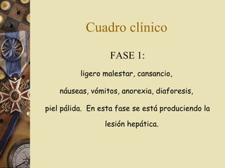 Cuadro clínico FASE 1: ligero malestar, cansancio,  náuseas, vómitos, anorexia, diaforesis,  piel pálida.  En esta fase se está produciendo la lesión hepática. 