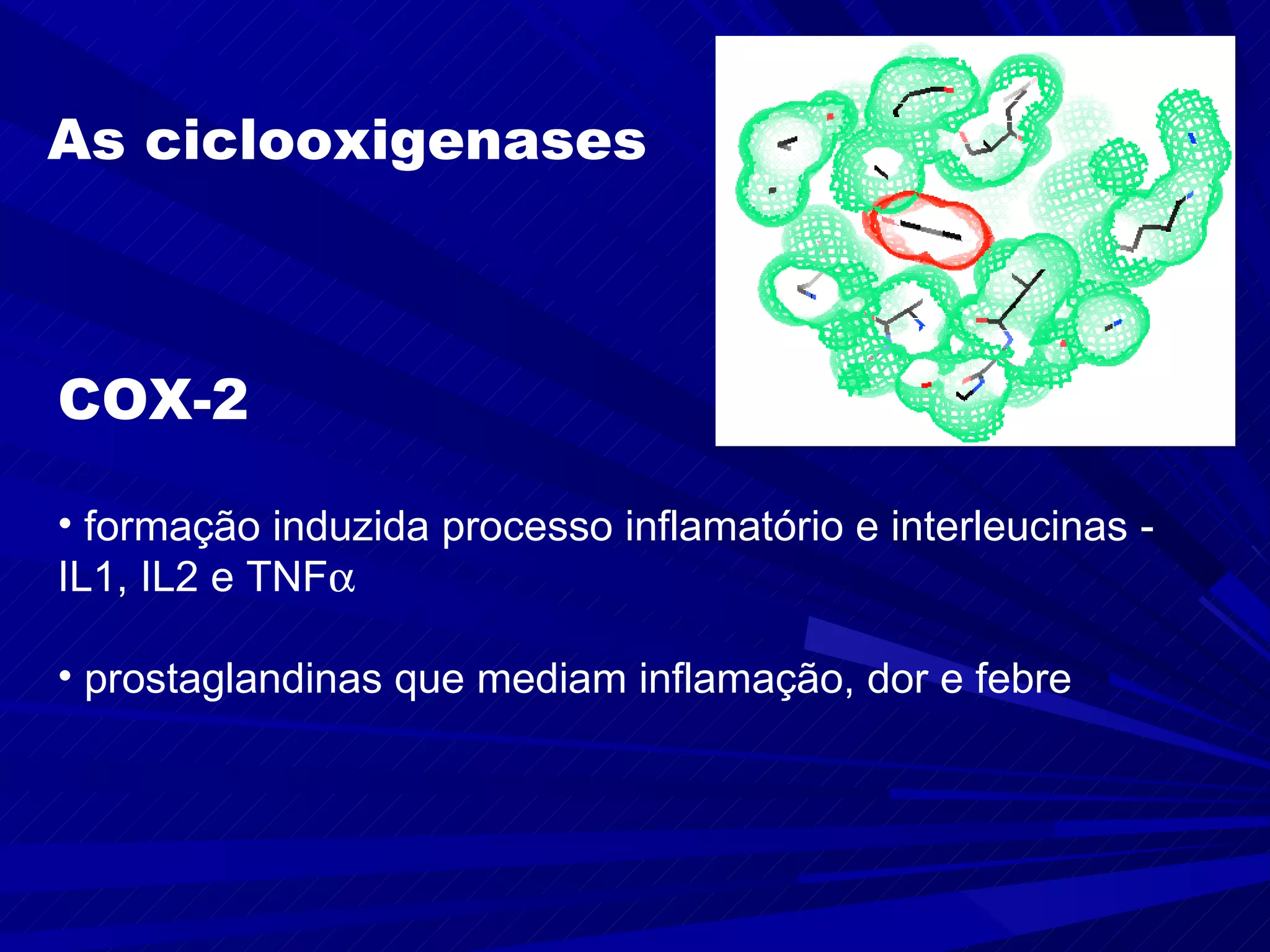 As ciclooxigenases   COX-2 formação induzida processo inflamatório e interleucinas -  IL1, IL2 e TNF  prostaglandinas que mediam inflamação, dor e febre 